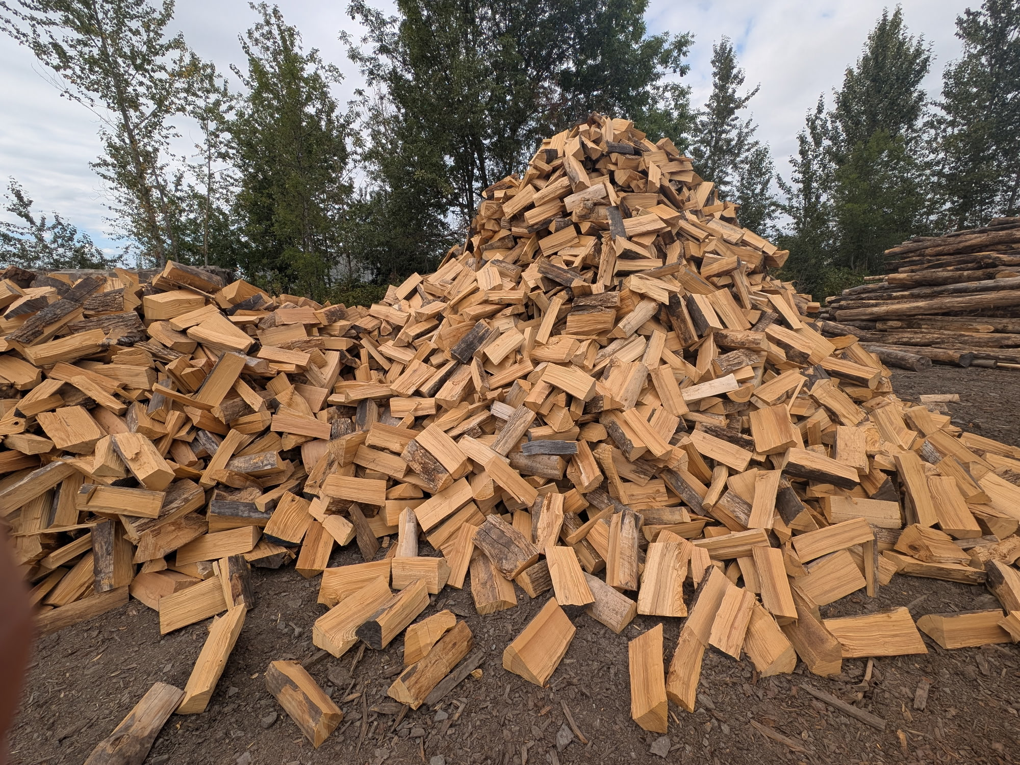Hardwood Ash Firewood